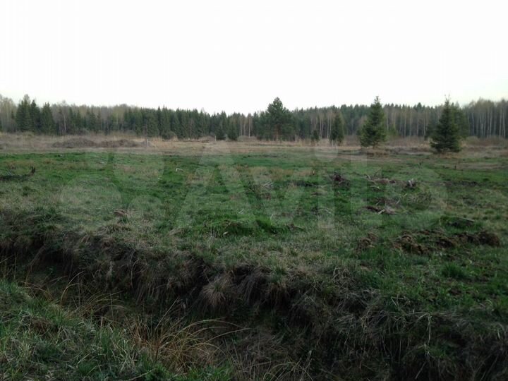 Участок 10 сот. (СНТ, ДНП)