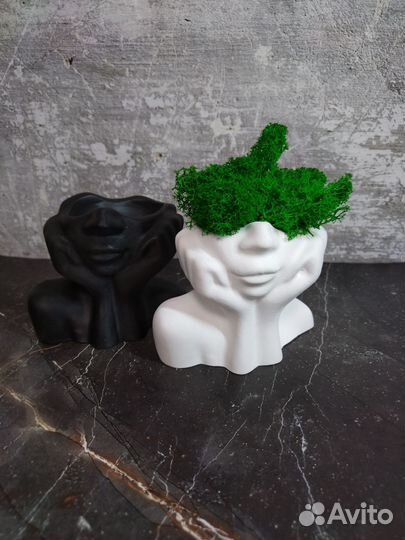 Кашпо со стабилизированным мхом