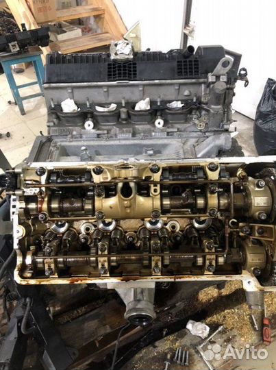 Двигатель Bmw X5 E53 N62B44