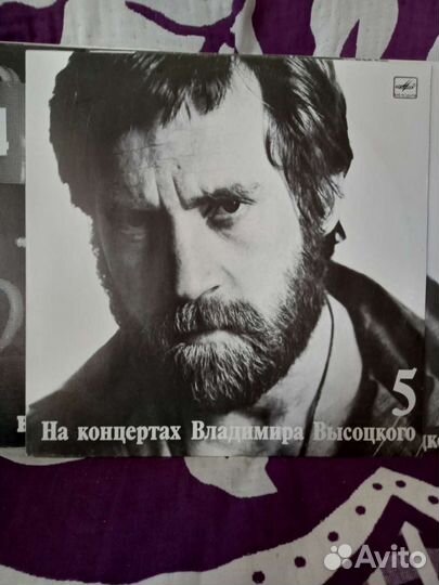 На концертах владимира высоцкого