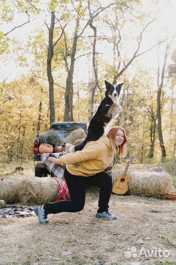 Дрессировка и воспитание собак, кинолог