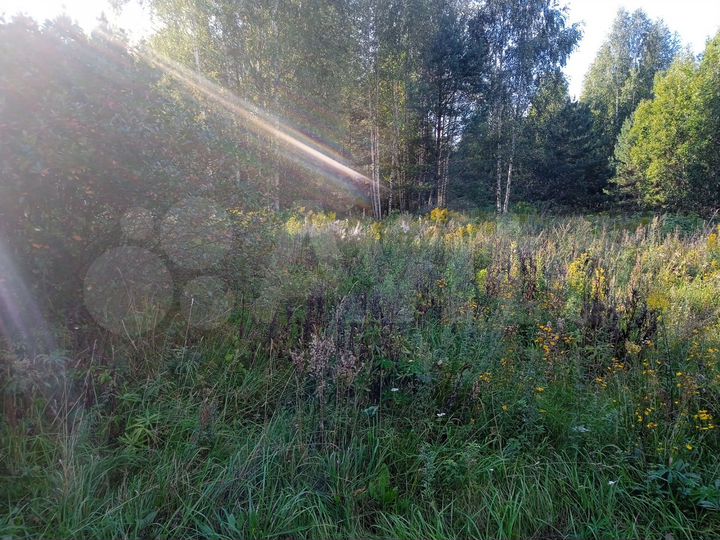 Участок 15 сот. (СНТ, ДНП)