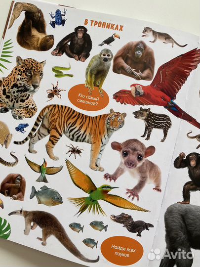 Большая книга малыша животные