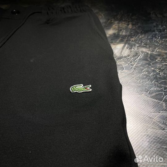 Брюки мужские Lacoste premium