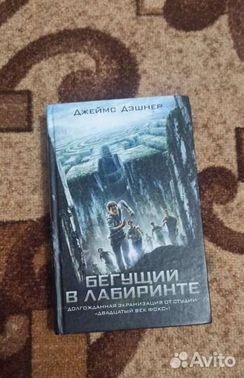 Бегущий в лабиринте