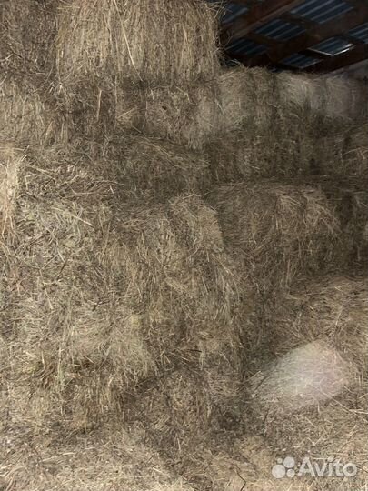 Сено в тюках