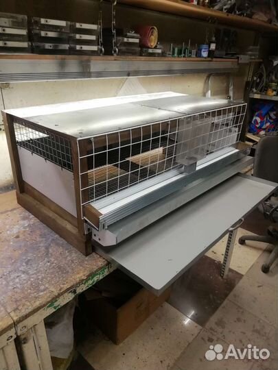 Клетка для содержания перепелов, куриц