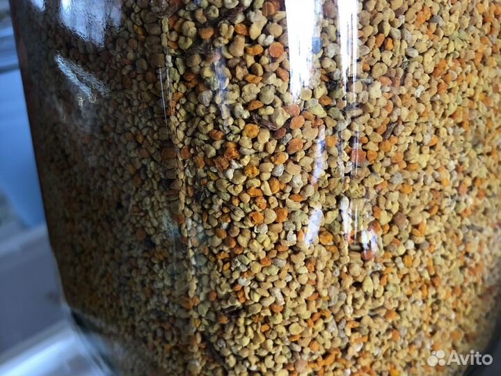 Пыльца пчелиная свежая 2024 опт розница