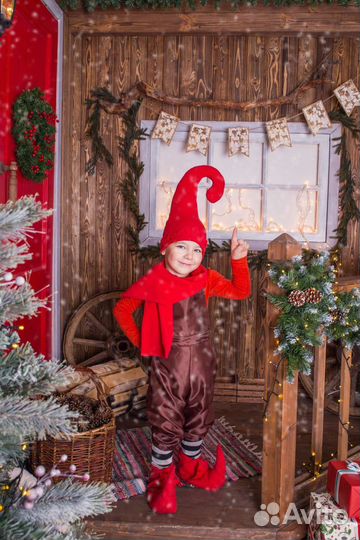 Костюм гнома или гномеллы