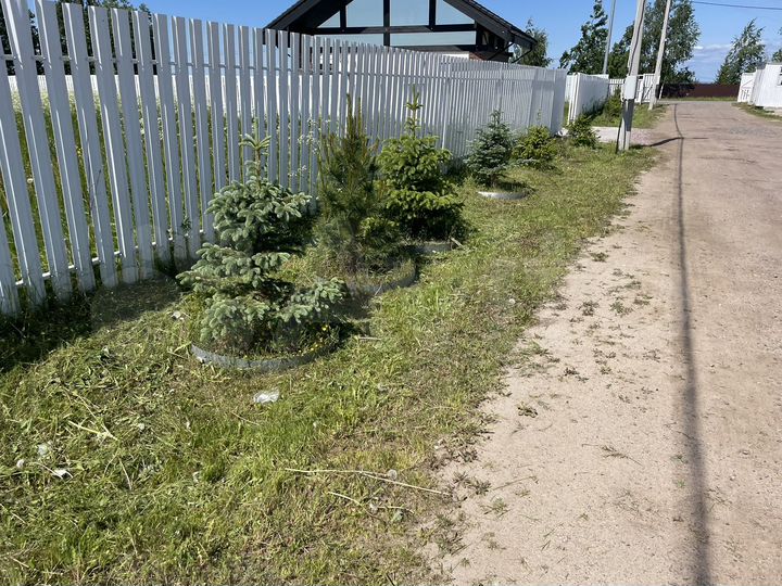 Участок 10 сот. (ИЖС)