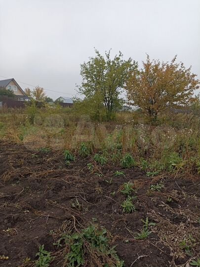 Участок 10 сот. (СНТ, ДНП)