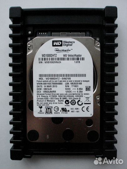 Новый VelociRaptor 1Tb WD1000dhtz