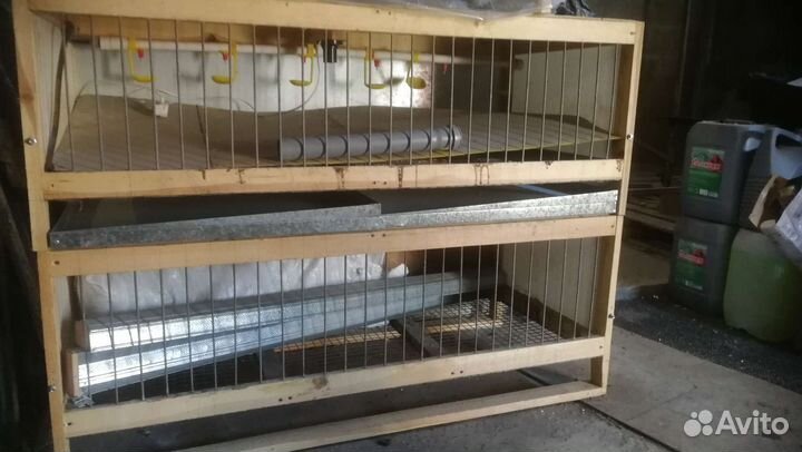 Клетки для кур