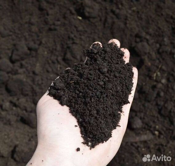 Земля плодородная чернозем