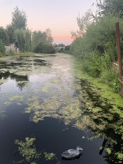 Участок 8 сот. (СНТ, ДНП)