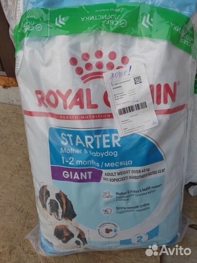 Корм роял канин royal canin giant starter