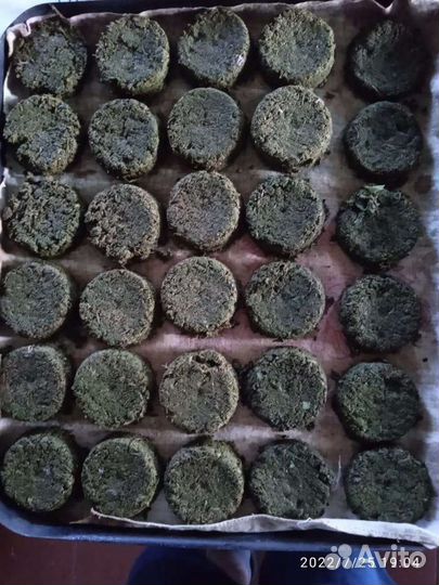 Иван чай ферментированный и зеленый