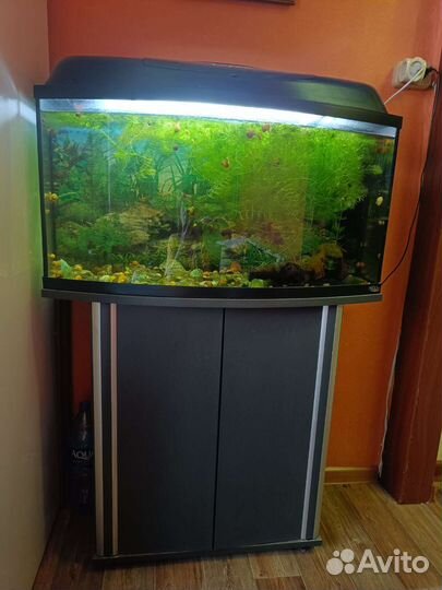 Аквариум
