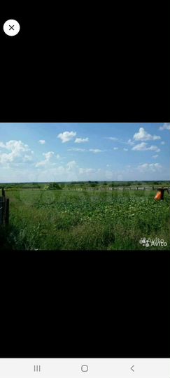 Дом 80 м² на участке 38 сот.