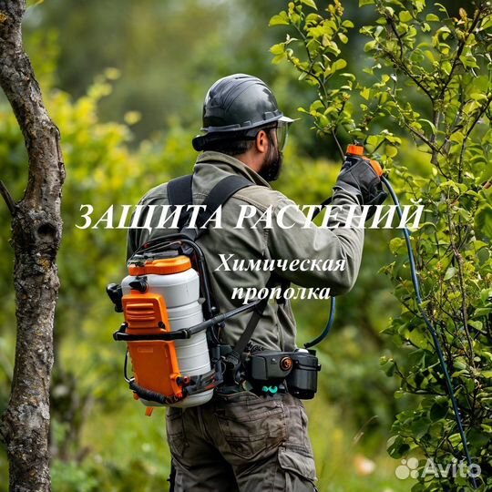 Кронирование и спил деревьев