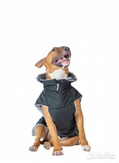 Зимняя попона для собак