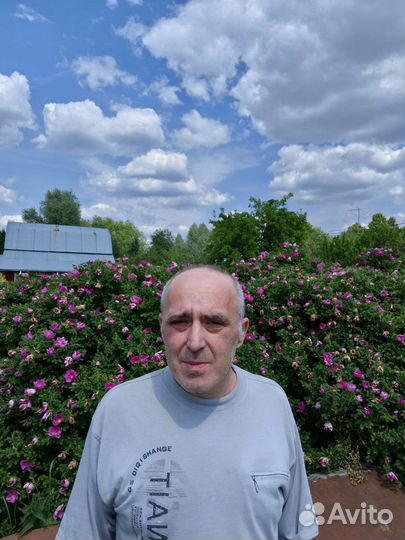 Ремонт холодильников на дому