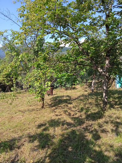 Участок 6,9 сот. (СНТ, ДНП)