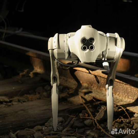 Робот собака Unitree Go1 PRO