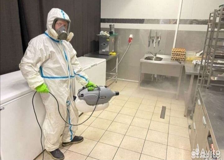 Уничтожение тараканов клопов мышей клещей плесени