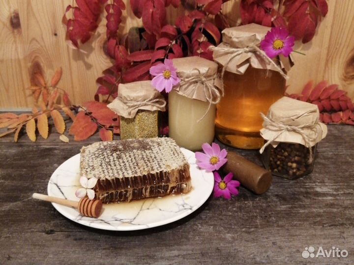 Алтайский Мед 2023, пыльца, прополис, перга Жкв