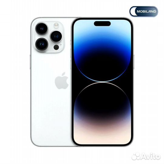iPhone 14 Pro Max Silver 1TB A2895