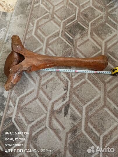 Кость мамонта