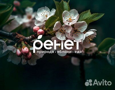 Повар холодного цеха