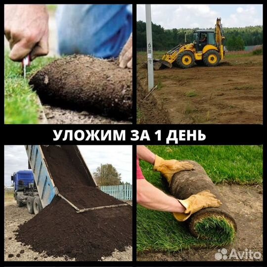 Рулонный газон залог доброго утра