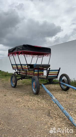 Шарабан для лошади