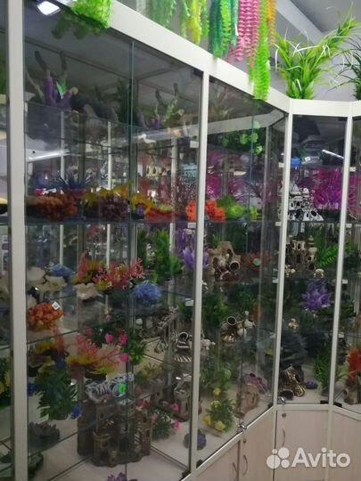 Продам готовый действующий бизнес