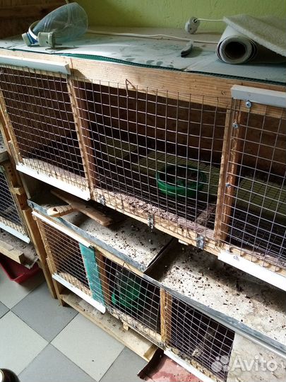 Клетки для бройлеров бу