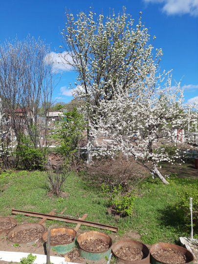 Участок 6,4 га (СНТ, ДНП)