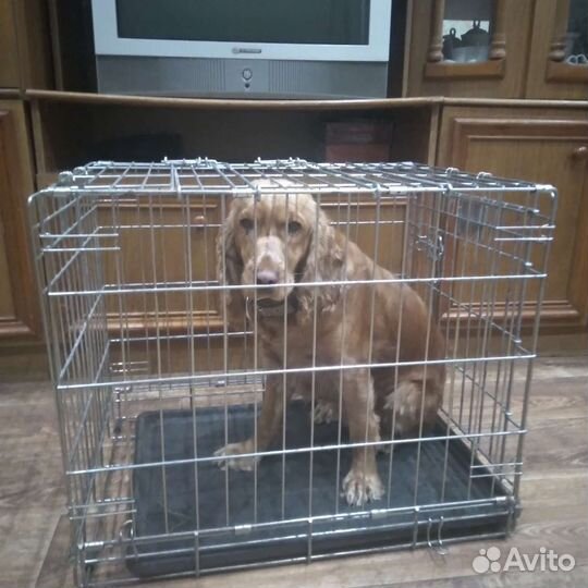 Клетка вольер для собак бу