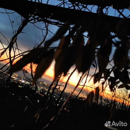 Видеомонтаж