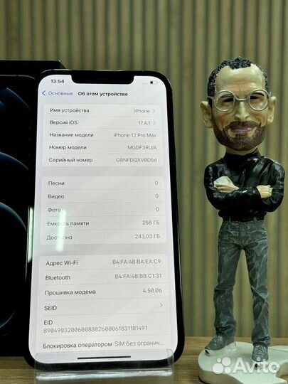 iPhone 12 Pro Max, 256 ГБ