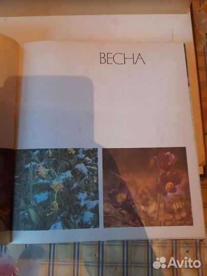 Книга - фотоальбом