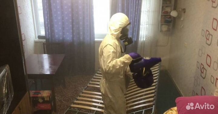 Средство для Уничтожения клопов тараканов плесени клещей