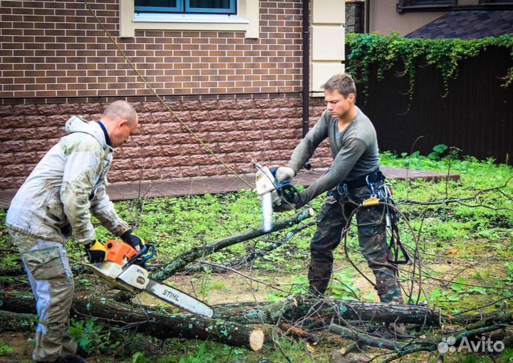 Вывоз мусора