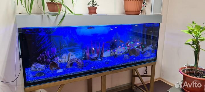 Аквариум с тумбой 450 литров