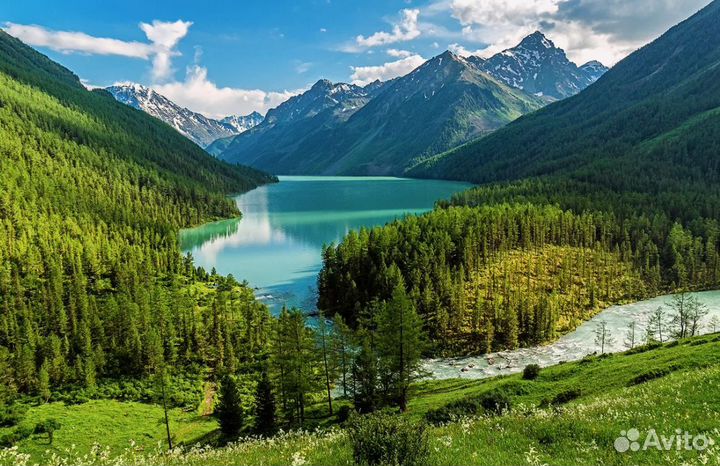 Тур в Горный Алтай 6 нч