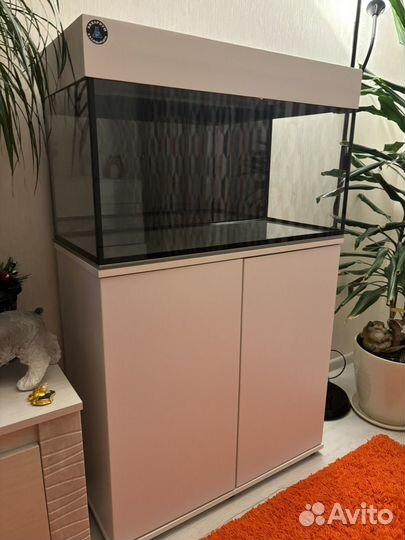 Аквариум (тумба+акв+оборудование)