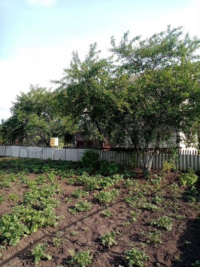 Участок 10 сот. (СНТ, ДНП)