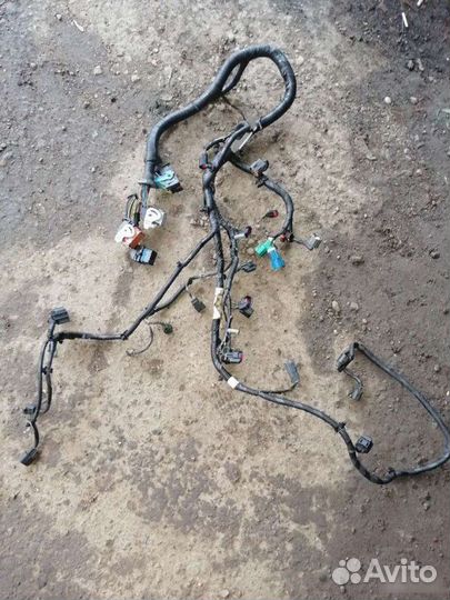 Проводка двигателя Ford Focus 2 2005-2008