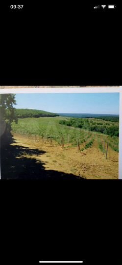 Участок 13,2 га (СНТ, ДНП)